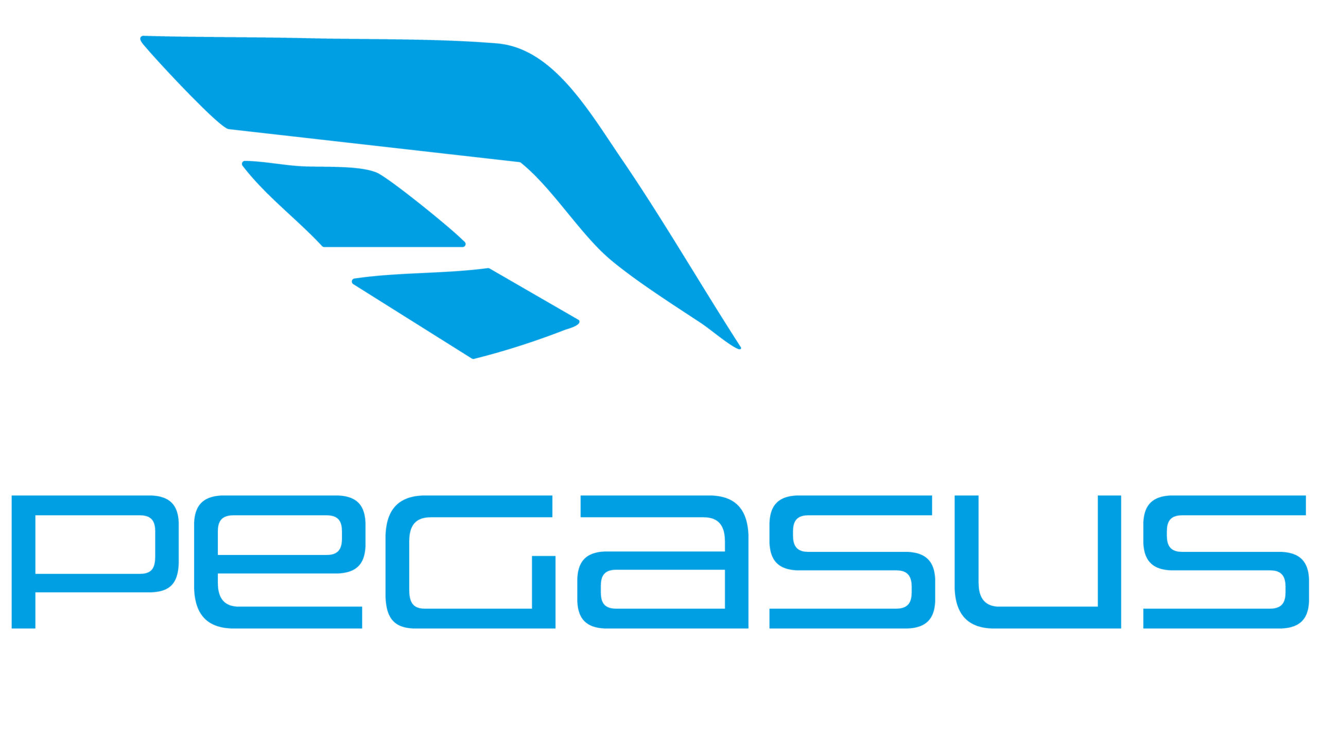 PEGASUS_BlauWeiss@4x